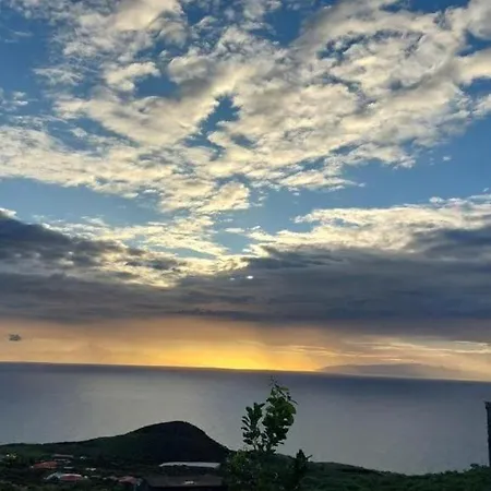 El Olivo De 2 *
